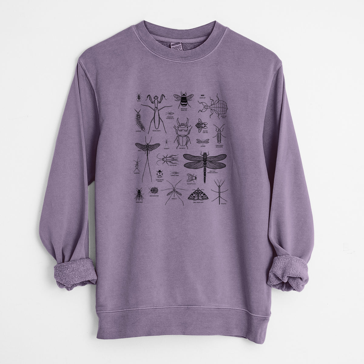 Chart of Arthropods/Insects - Unisex Pigment Dyed Crew Sweatshirt in Plum