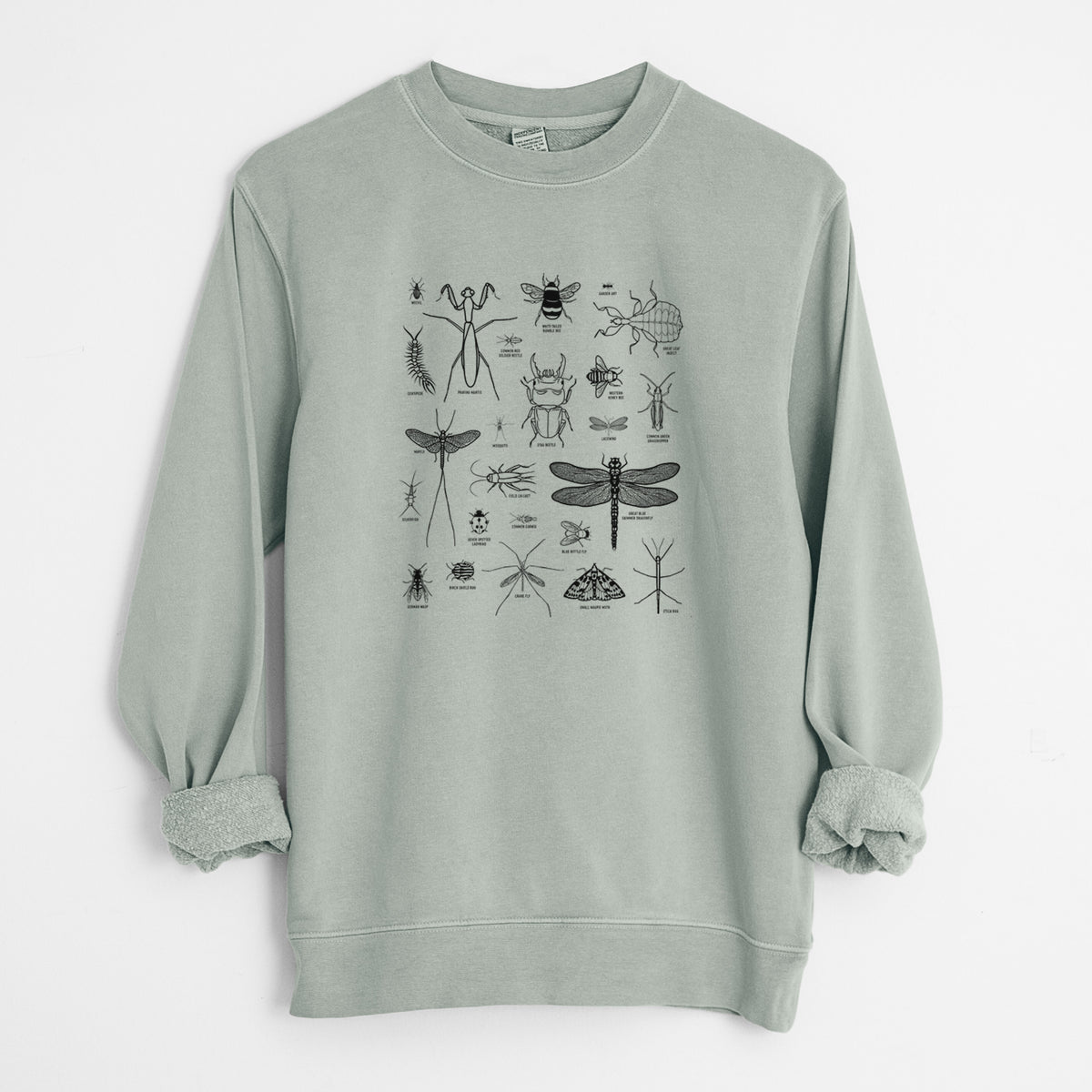 Chart of Arthropods/Insects - Unisex Pigment Dyed Crew Sweatshirt in Sage