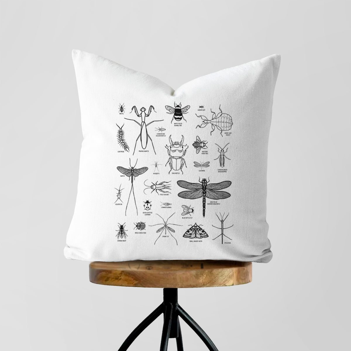 White pillow cover printed with a chart of black ink insect and arthropod illustrations, including dragonflies, beetles, spiders and bees, on a wooden stool.