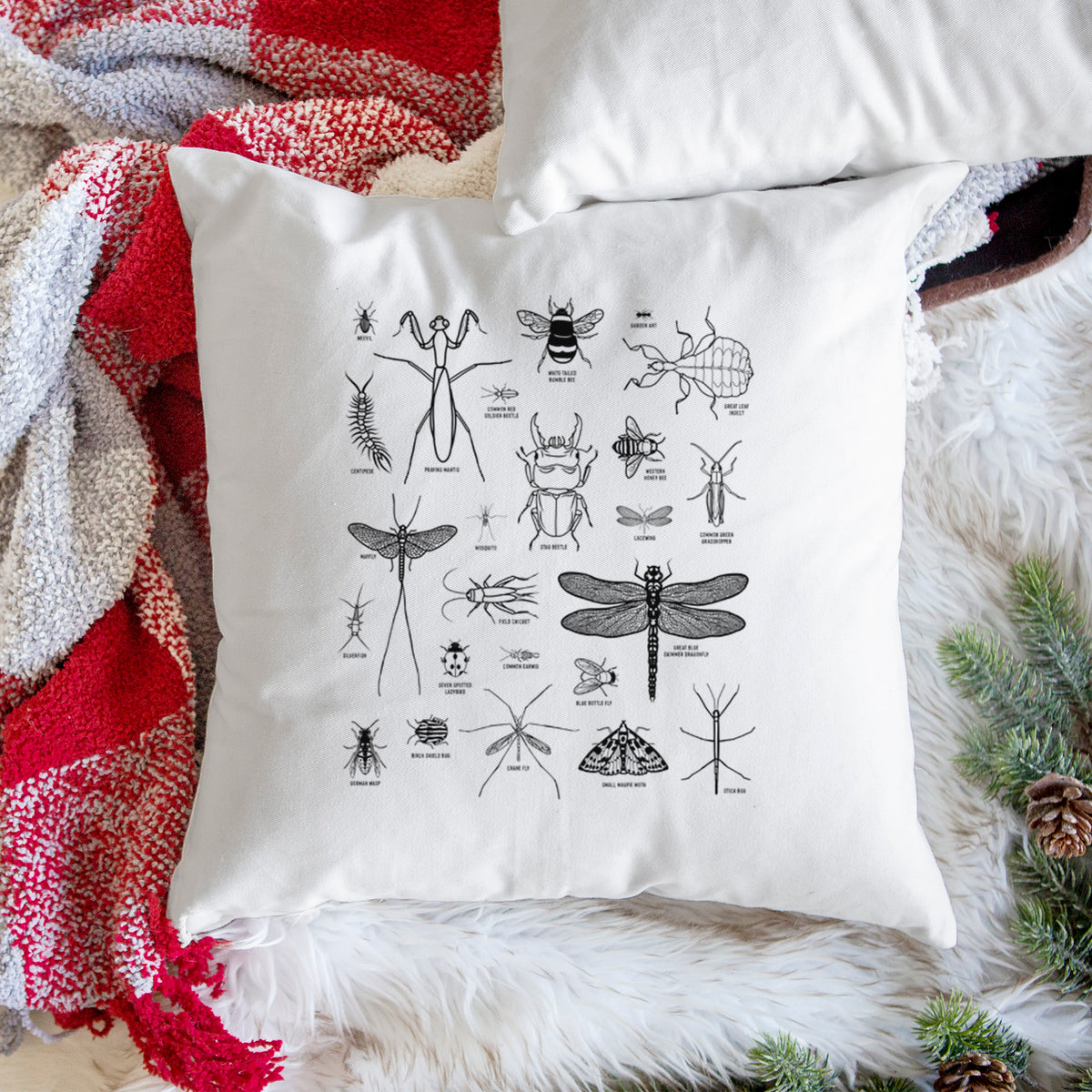 White pillow cover printed with a chart of black ink insect and arthropod illustrations, including dragonflies, beetles, spiders and bees, on a woven chair.