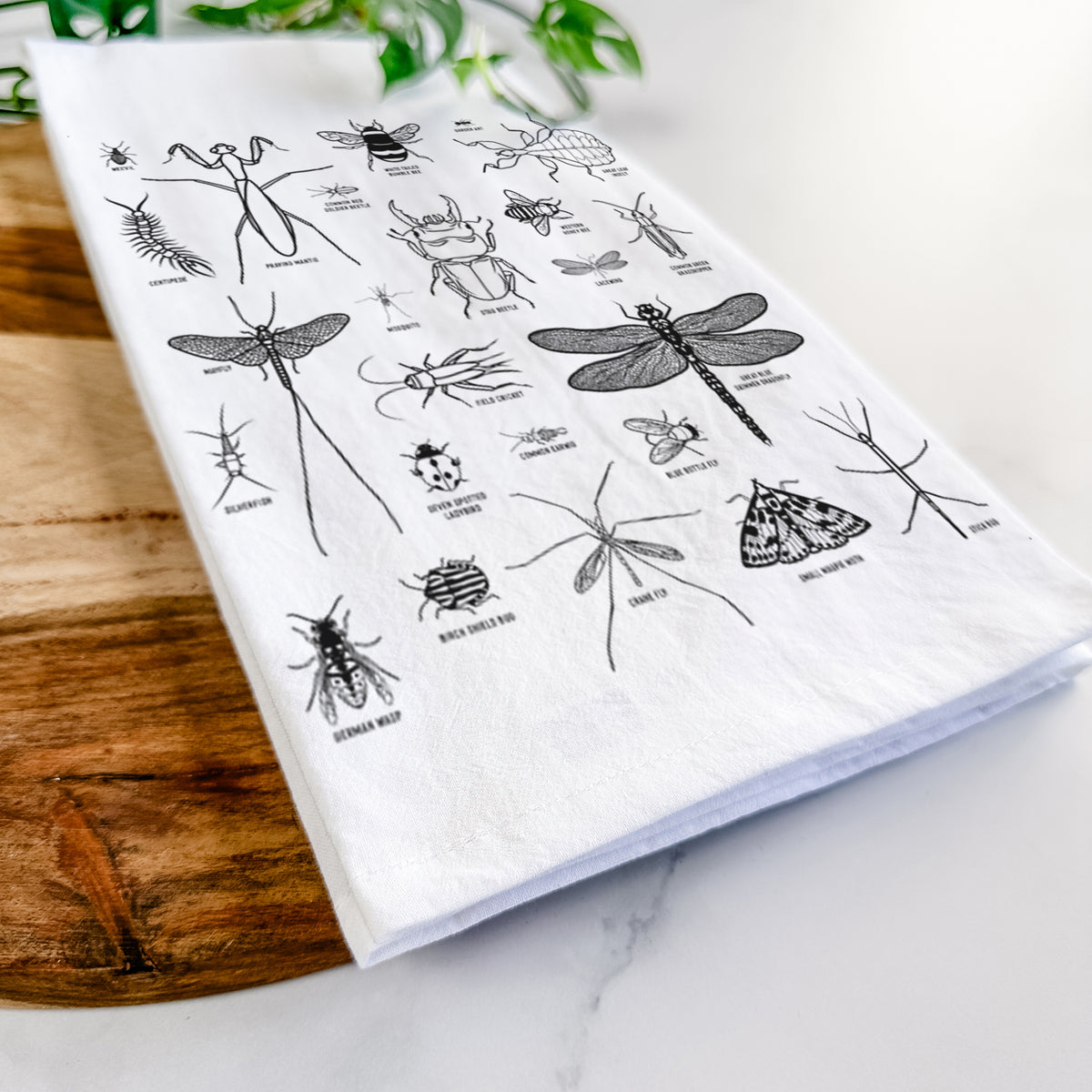 Close-up of a folded white tea towel on a wooden board, showing a chart of black ink insect and arthropod illustrations, including dragonflies, beetles, spiders and bees.