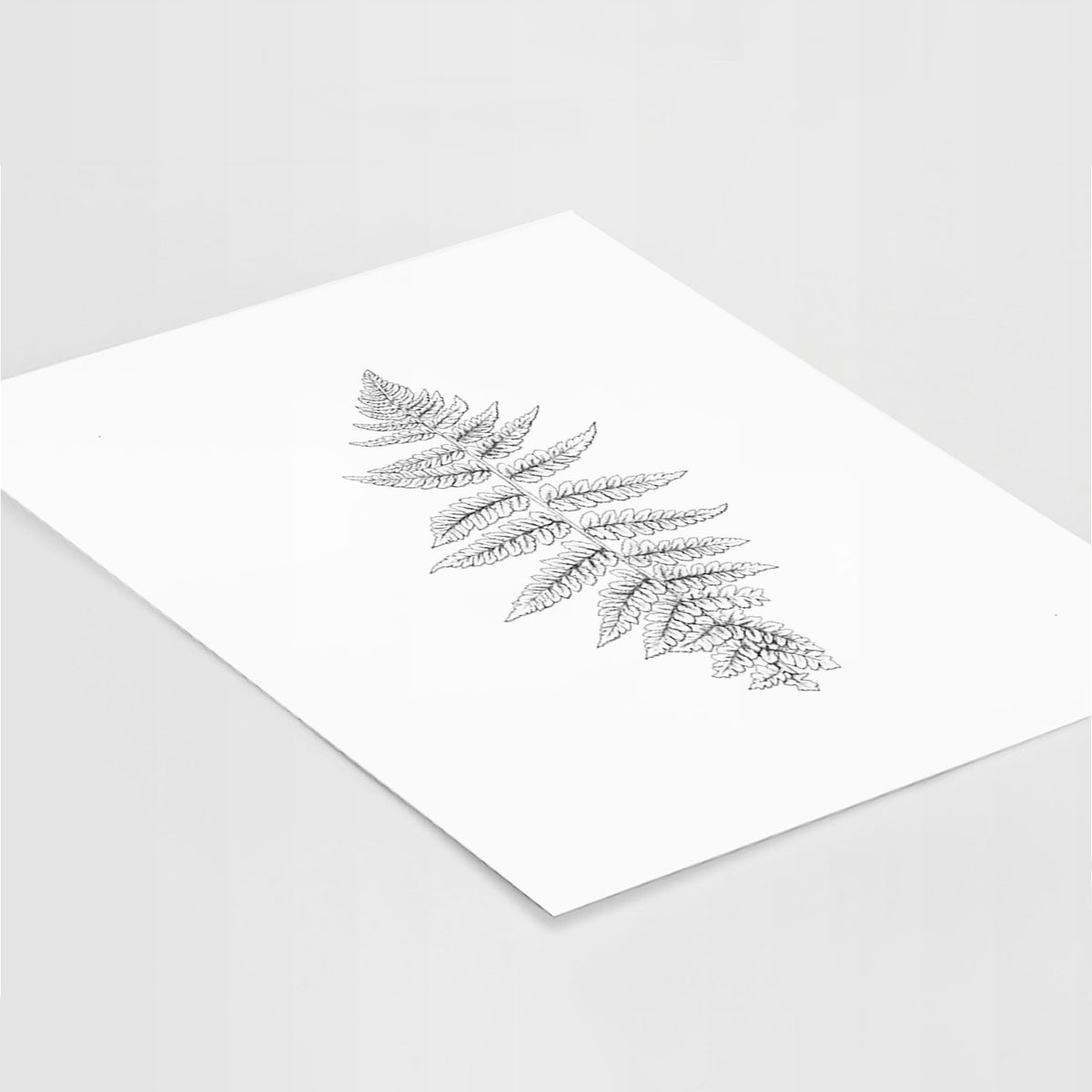 Art print of a black ink illustration of a lady fern frond, lying at an angle on a white surface.