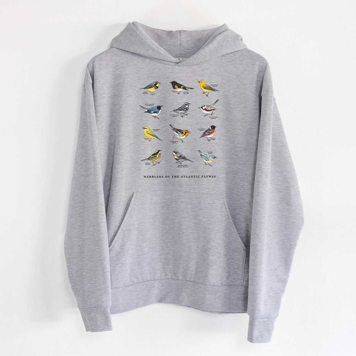 Warblers of the Atlantic Flyway - Statement Midweight Hoodie in Heather Grey, hanging on a white wall, with a front kangaroo pocket and no drawcords.