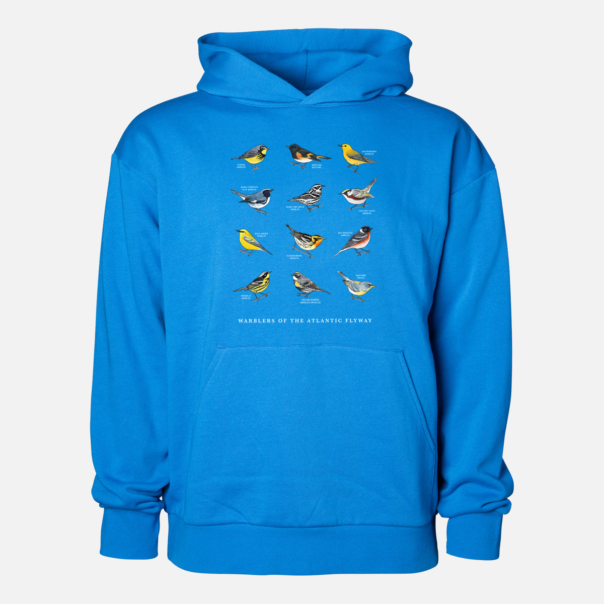 Warblers of the Atlantic Flyway - Statement Midweight Hoodie in Azure Blue, shown from the front with the design printed on the chest above a front kangaroo pocket.