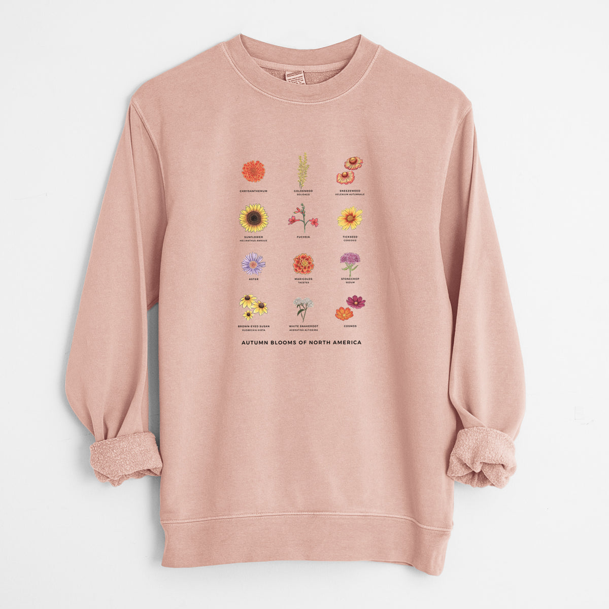 Dusty pink pigment dyed crewneck sweatshirt laid flat with the sleeves rolled, printed with a full-color chart of autumn flowers, each labeled with its name.