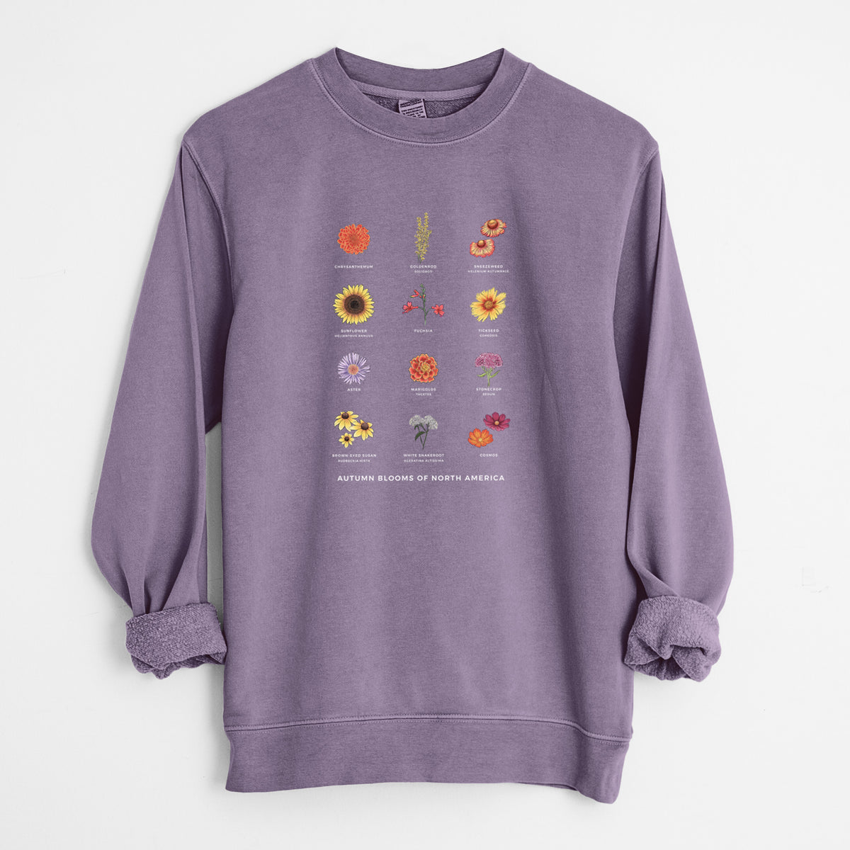 Plum purple pigment dyed crewneck sweatshirt laid flat with the sleeves rolled, printed with a full-color chart of autumn flowers, each labeled with its name.