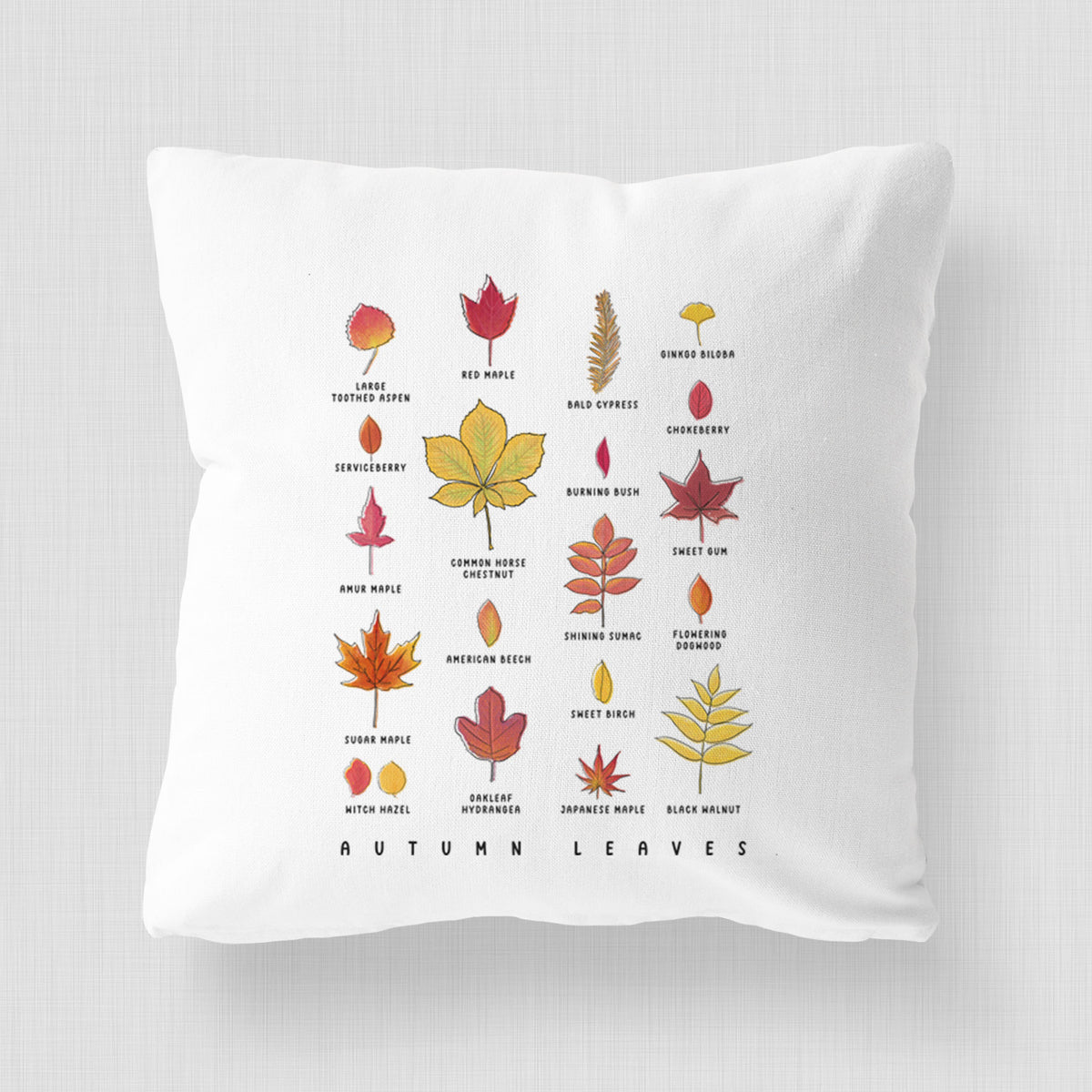 White pillow cover printed with a full-color chart of autumn leaves, each labeled with its tree species.