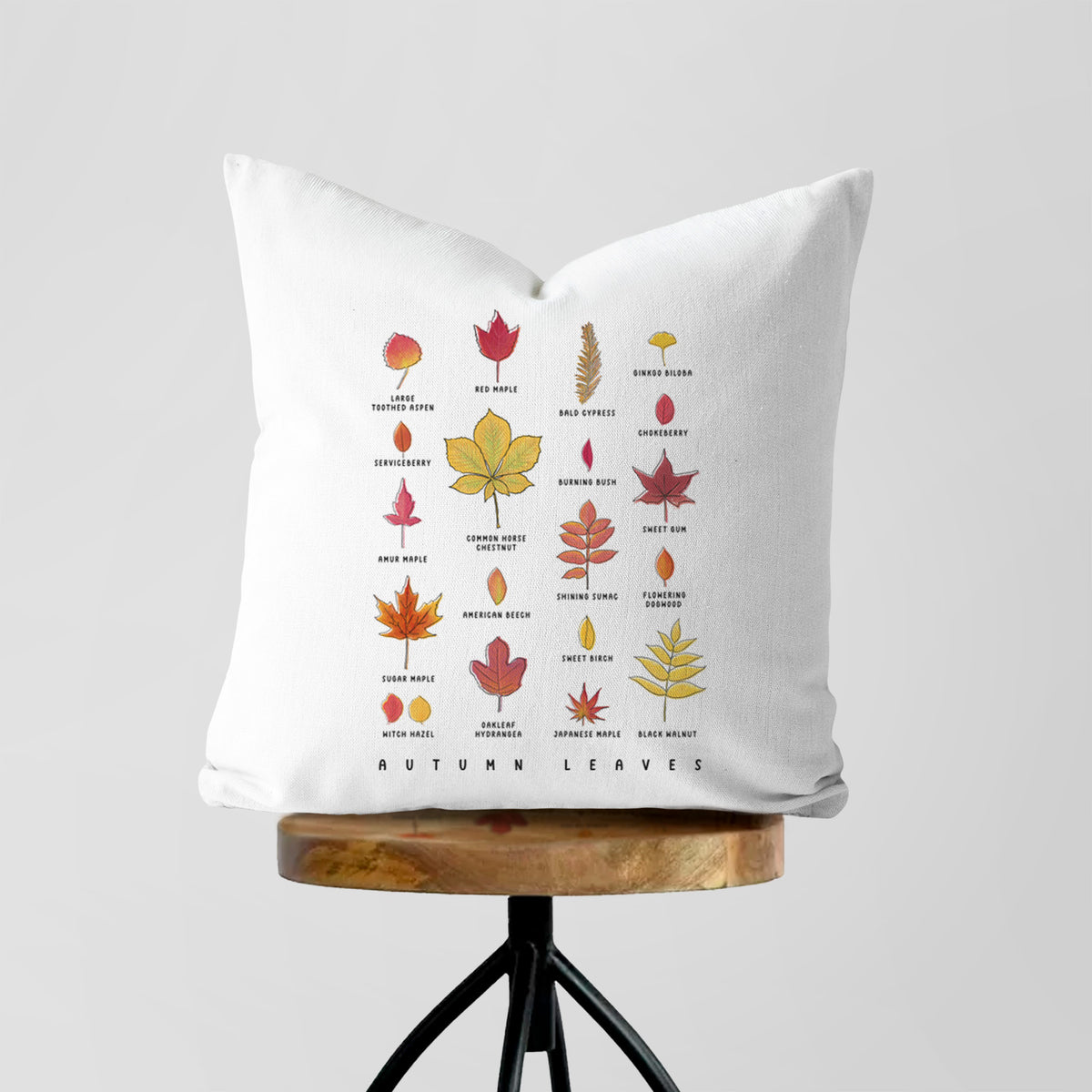 White pillow cover printed with a full-color chart of autumn leaves, each labeled with its tree species, on a wooden stool.