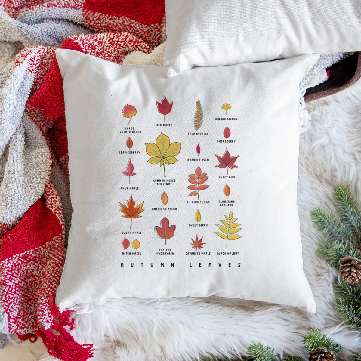 White pillow cover printed with a full-color chart of autumn leaves, each labeled with its tree species, on a woven chair.