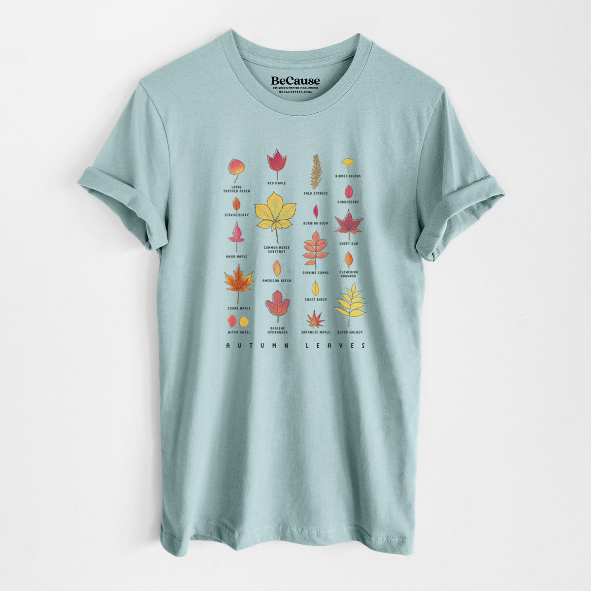 Dusty blue lightweight cotton t-shirt laid flat, printed with a full-color chart of autumn leaves, each labeled with its tree species.