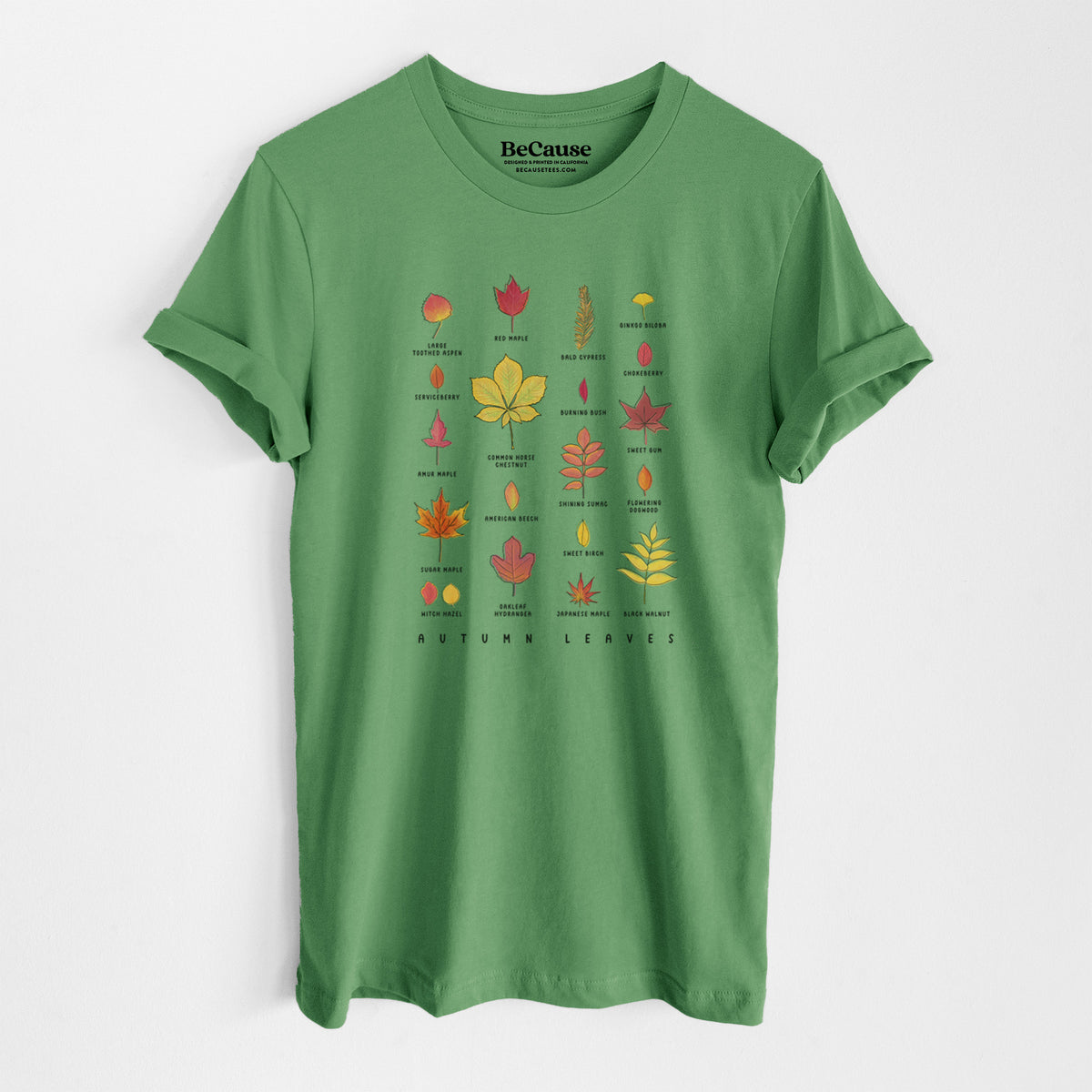 Leaf green lightweight cotton t-shirt laid flat, printed with a full-color chart of autumn leaves, each labeled with its tree species.