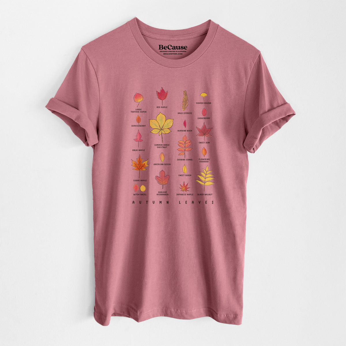 Mauve pink lightweight cotton t-shirt laid flat, printed with a full-color chart of autumn leaves, each labeled with its tree species.