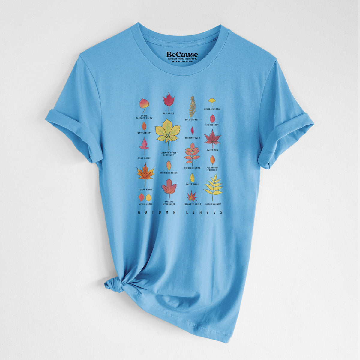Ocean blue lightweight cotton t-shirt laid flat with the sleeves rolled, printed with a full-color chart of autumn leaves, each labeled with its tree species.