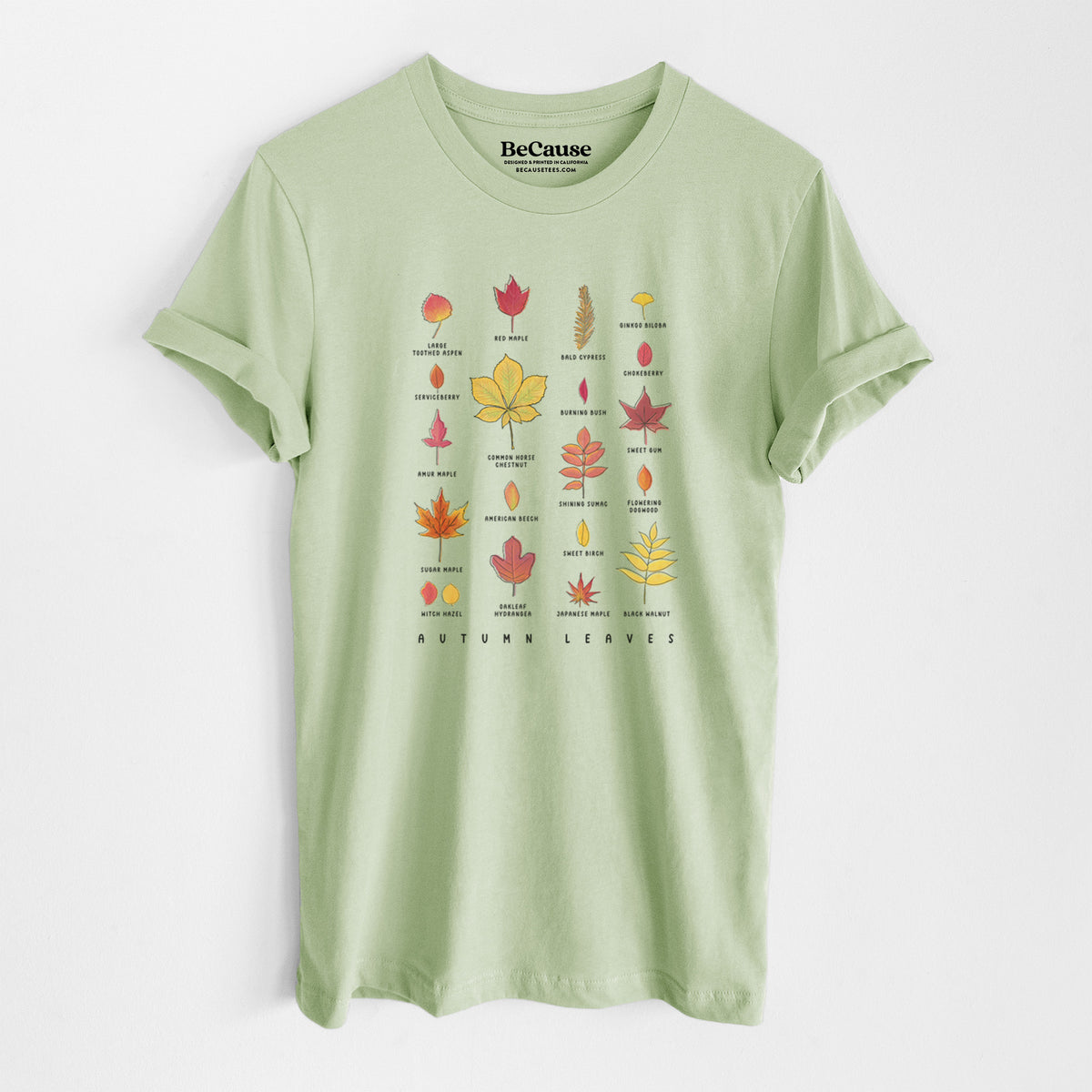 Spring green lightweight cotton t-shirt laid flat, printed with a full-color chart of autumn leaves, each labeled with its tree species.