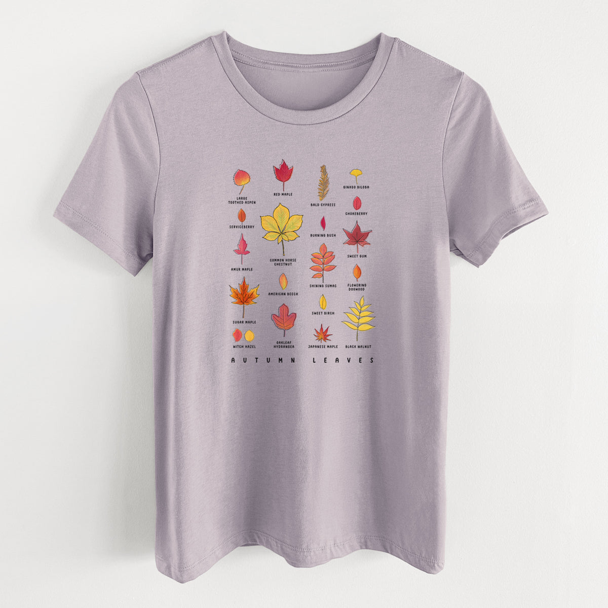 Light violet women's relaxed fit cotton t-shirt laid flat, printed with a full-color chart of autumn leaves, each labeled with its tree species.