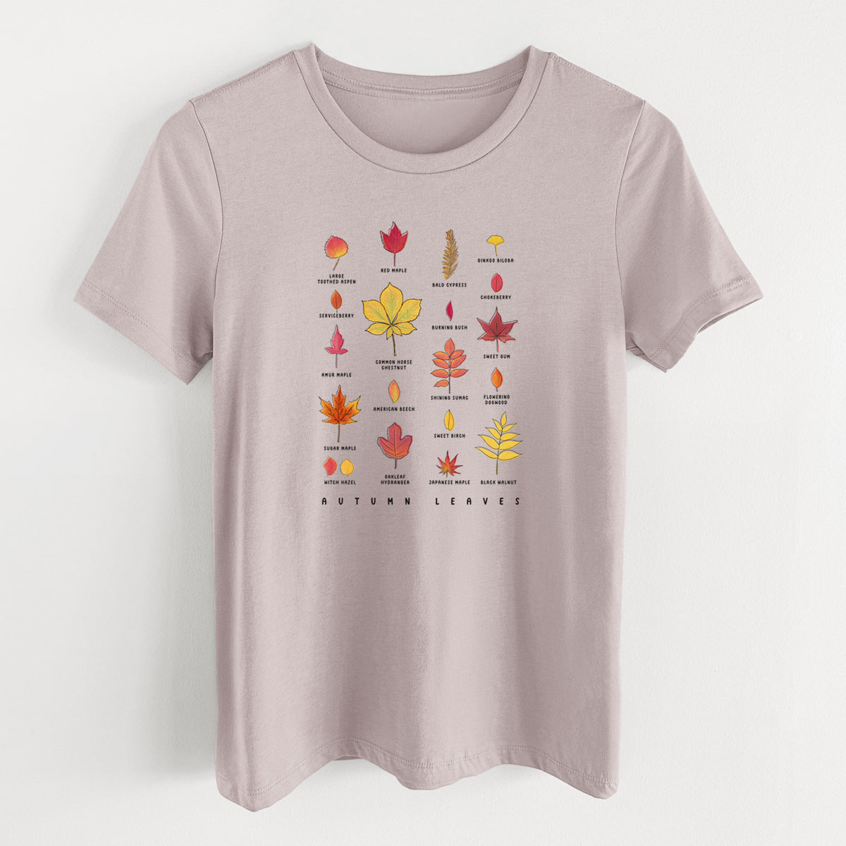 Pink gravel women's relaxed fit cotton t-shirt laid flat, printed with a full-color chart of autumn leaves, each labeled with its tree species.