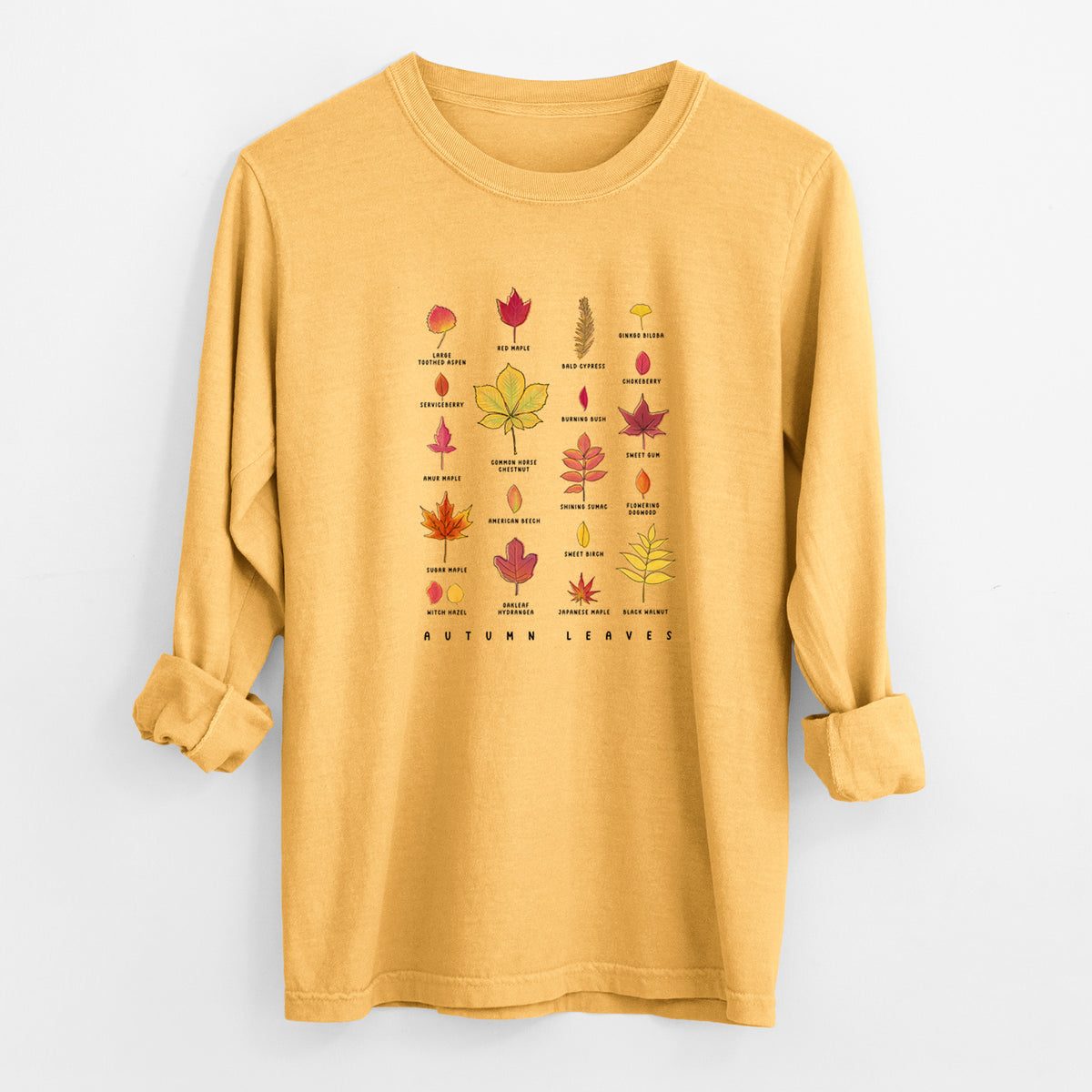 Golden wheat yellow Comfort Colors long sleeve shirt laid flat with the cuffs rolled, printed with a full-color chart of autumn leaves, each labeled with its tree species.