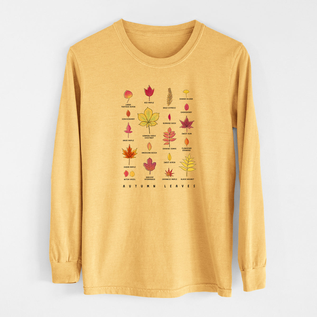Golden wheat yellow Comfort Colors long sleeve shirt laid flat, printed with a full-color chart of autumn leaves, each labeled with its tree species.