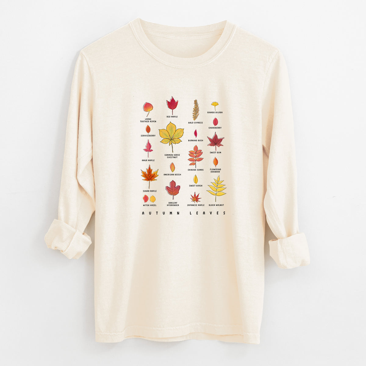 Ivory Comfort Colors long sleeve shirt laid flat with the cuffs rolled, printed with a full-color chart of autumn leaves, each labeled with its tree species.
