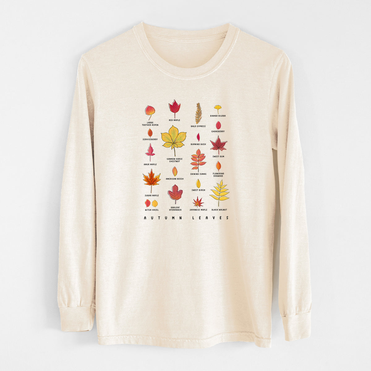 Ivory Comfort Colors long sleeve shirt laid flat, printed with a full-color chart of autumn leaves, each labeled with its tree species.