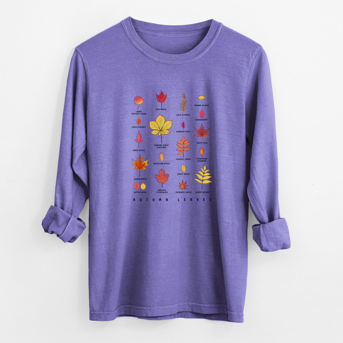 Violet purple Comfort Colors long sleeve shirt laid flat with the cuffs rolled, printed with a full-color chart of autumn leaves, each labeled with its tree species.