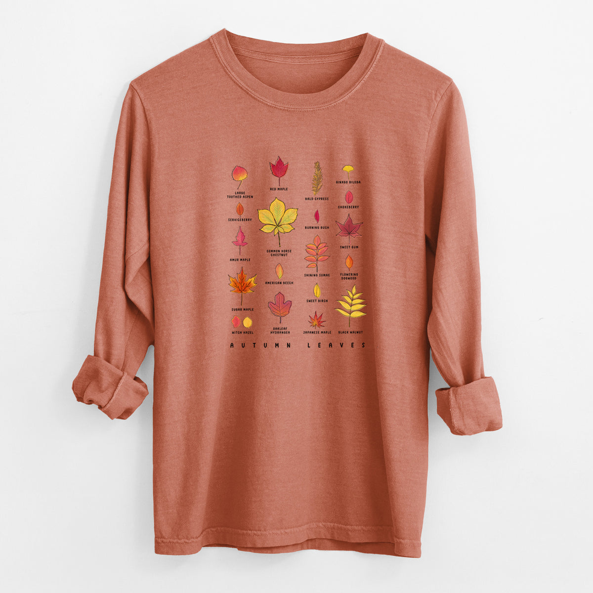 Yam burnt orange Comfort Colors long sleeve shirt laid flat with the cuffs rolled, printed with a full-color chart of autumn leaves, each labeled with its tree species.