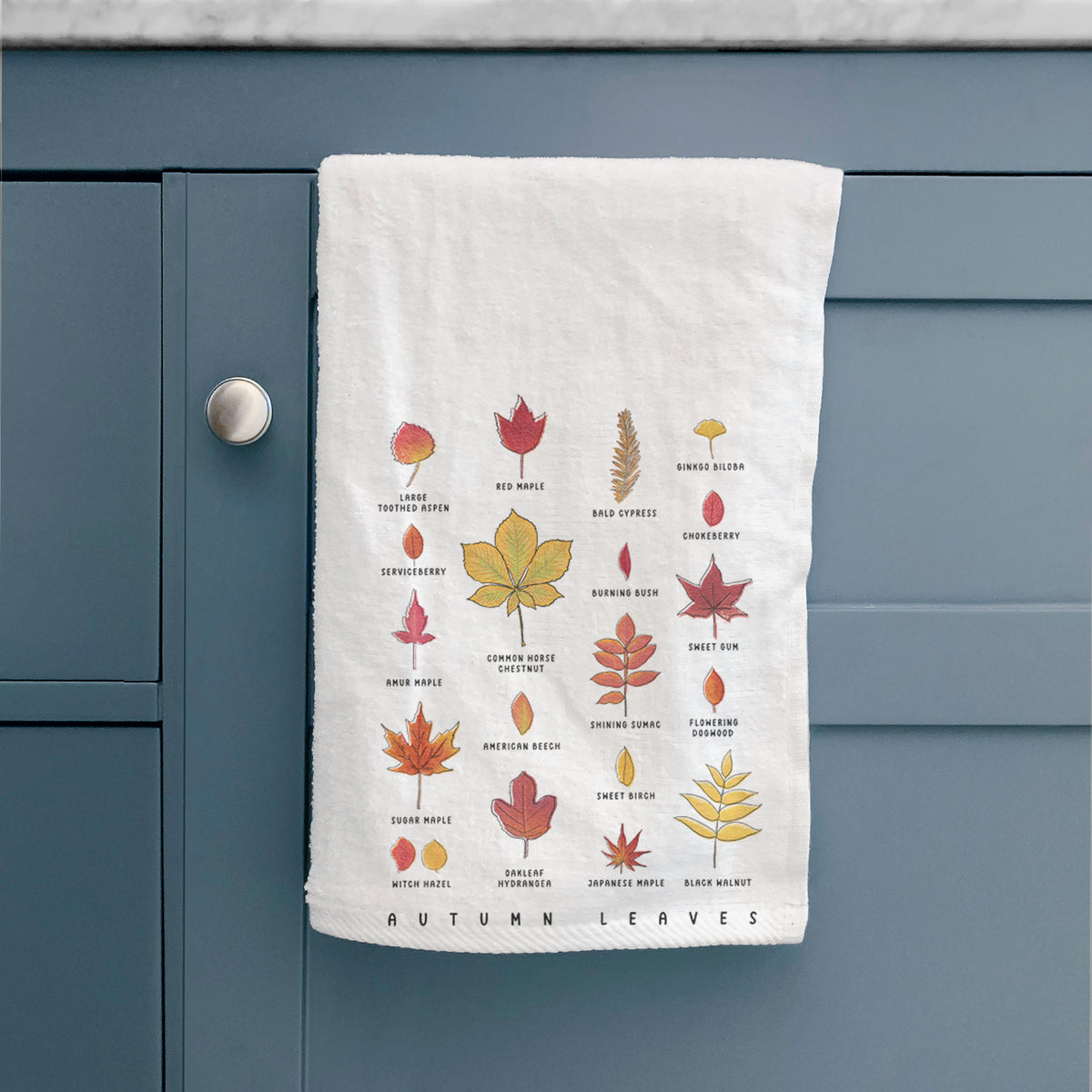 White hand towel printed with a full-color chart of autumn leaves, each labeled with its tree species, hanging on a cabinet door.