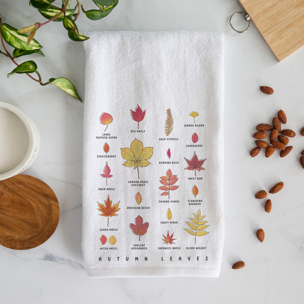 White hand towel printed with a full-color chart of autumn leaves, each labeled with its tree species.
