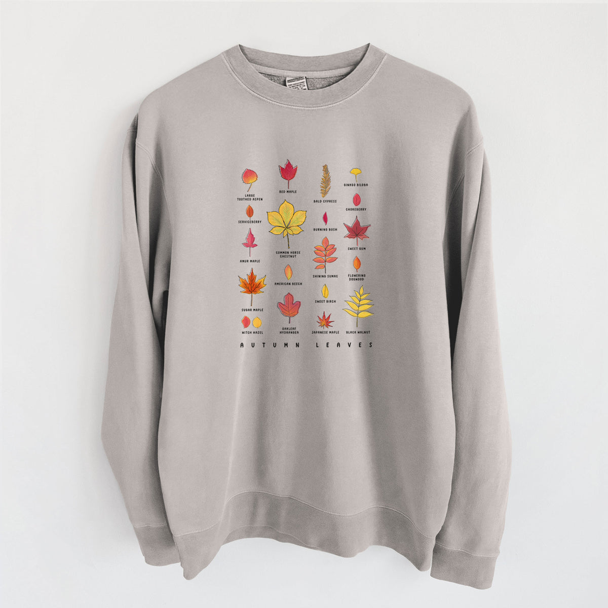 Vibrant Autumn Leaves Chart - Unisex Pigment Dyed Crew Sweatshirt in Cement