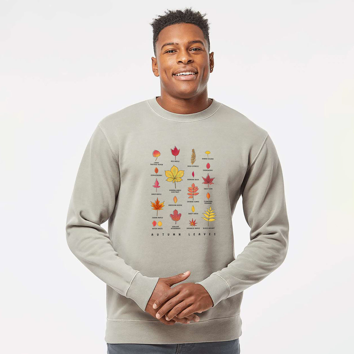 Vibrant Autumn Leaves Chart - Unisex Pigment Dyed Crew Sweatshirt in Cement
