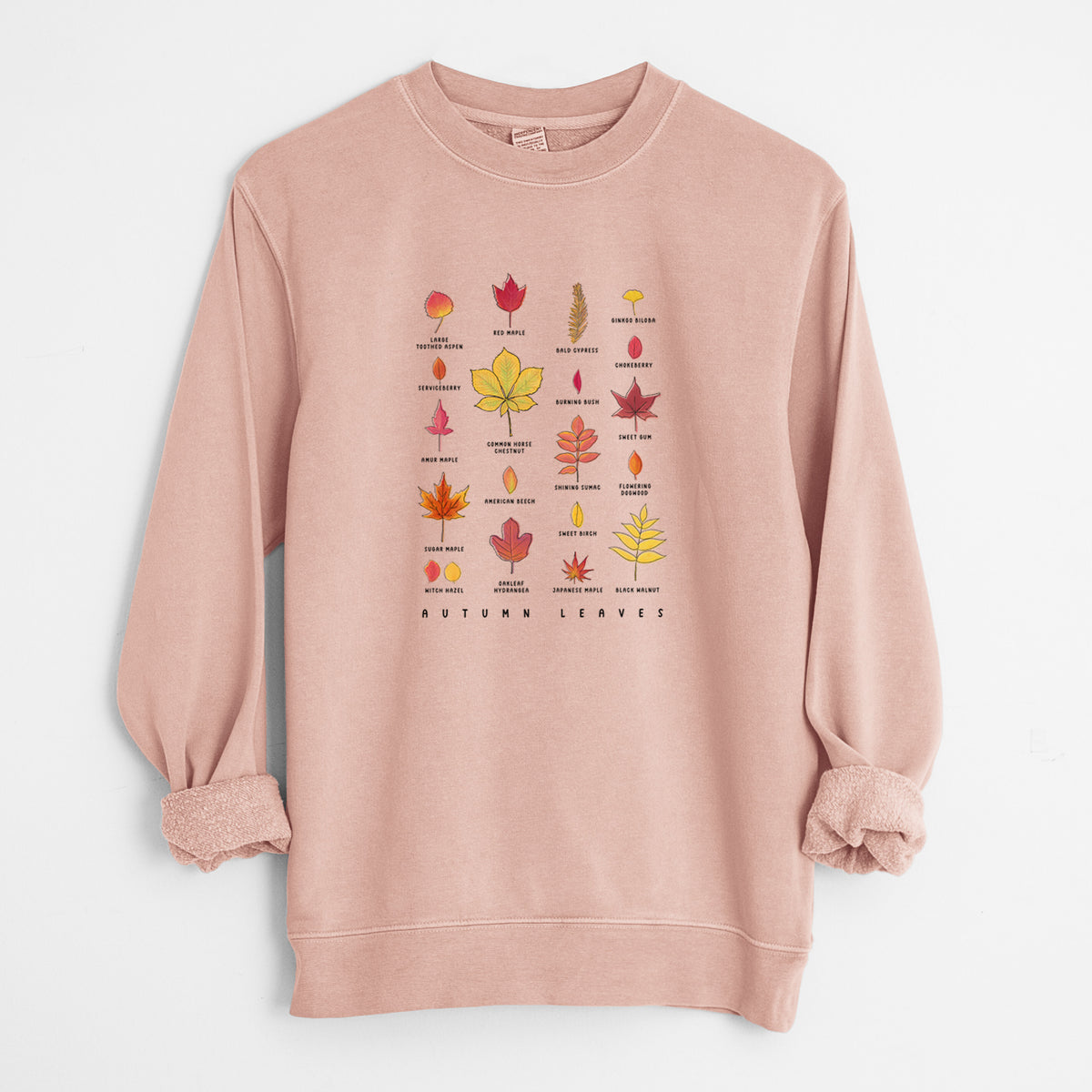 Vibrant Autumn Leaves Chart - Unisex Pigment Dyed Crew Sweatshirt in Dusty Pink