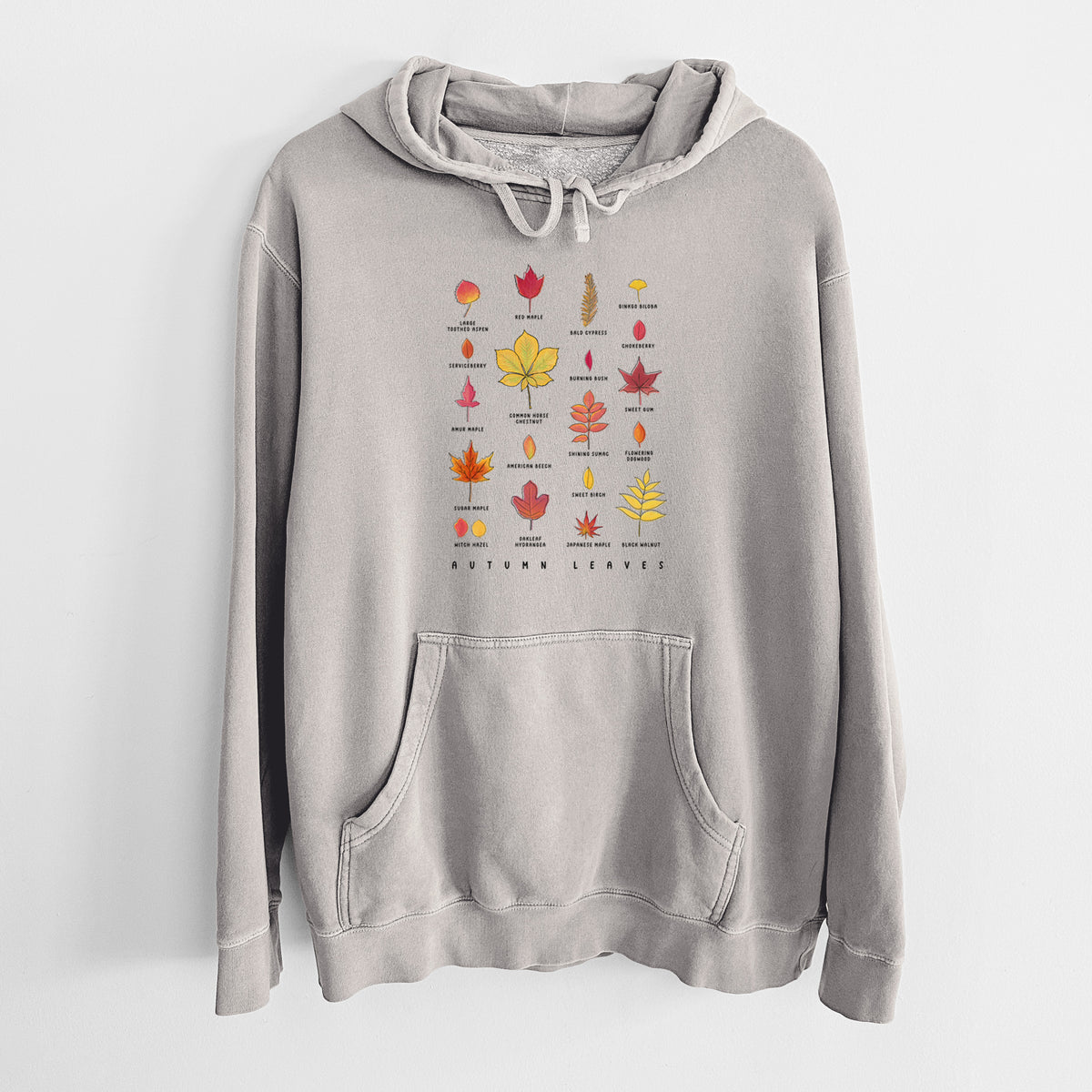 Cement grey pigment dyed hoodie laid flat, printed with a full-color chart of autumn leaves, each labeled with its tree species.