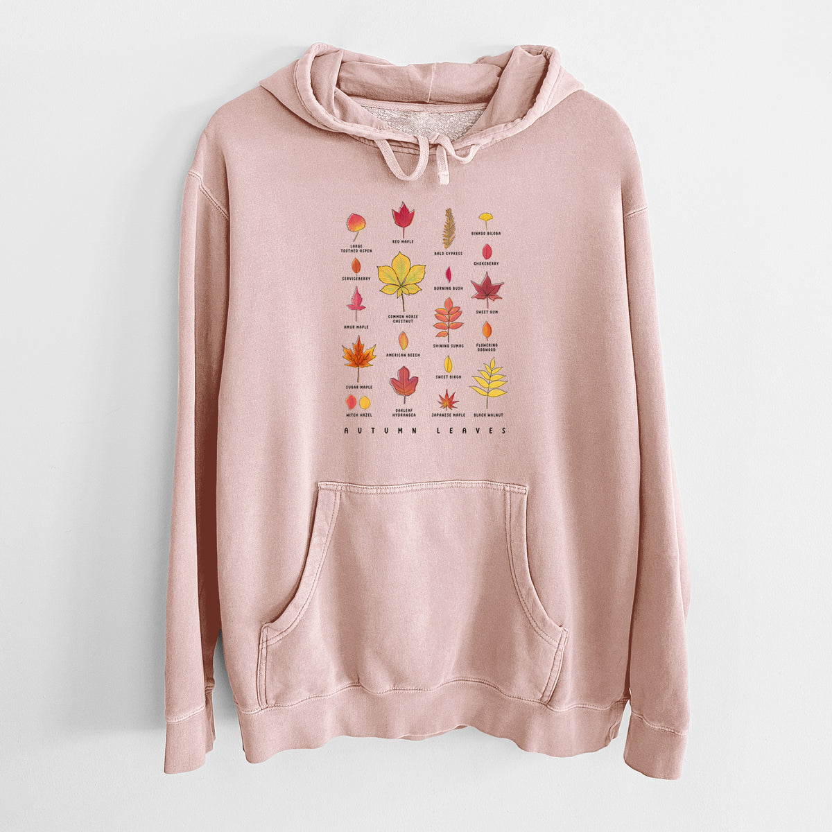 Dusty pink pigment dyed hoodie laid flat, printed with a full-color chart of autumn leaves, each labeled with its tree species.