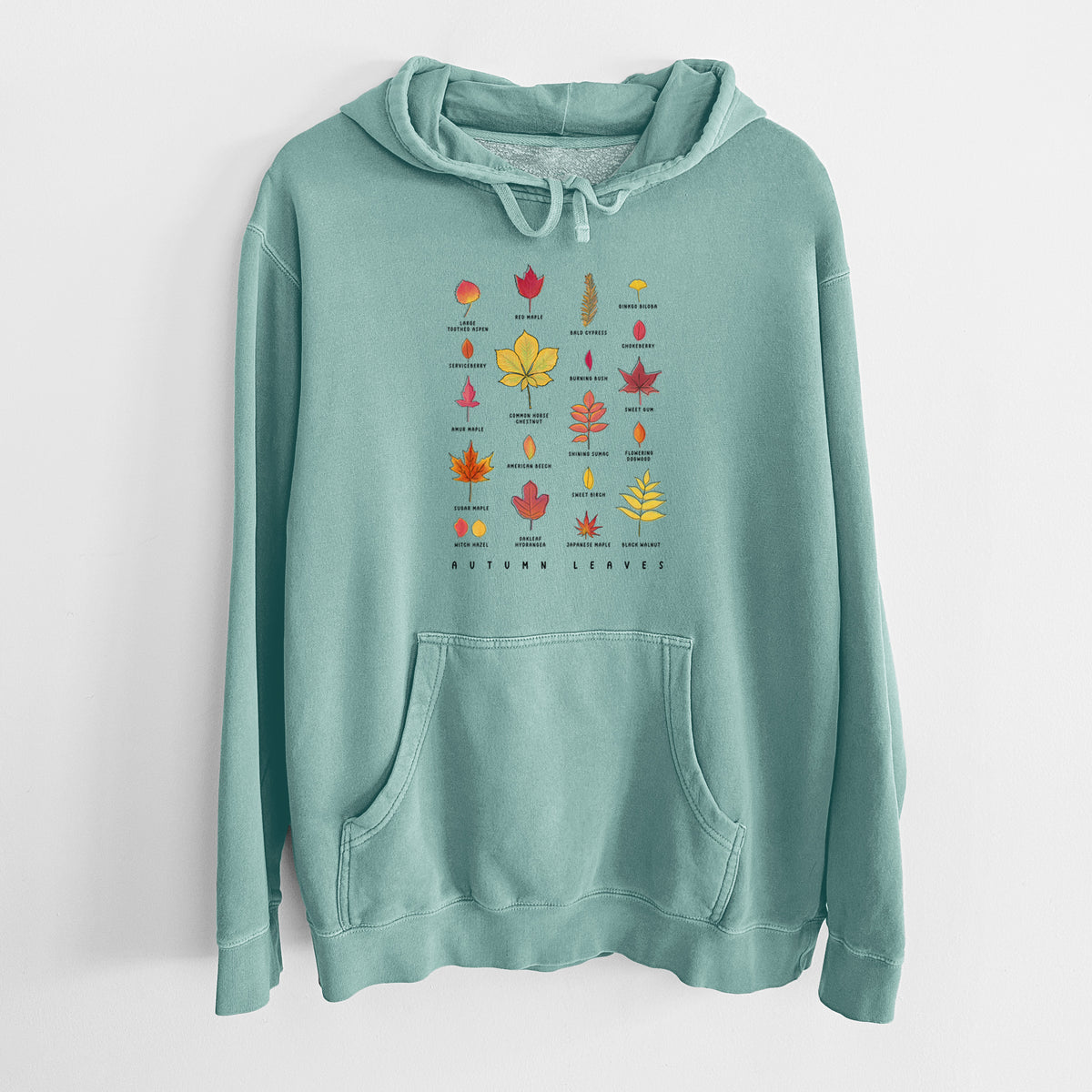Mint green pigment dyed hoodie laid flat, printed with a full-color chart of autumn leaves, each labeled with its tree species.