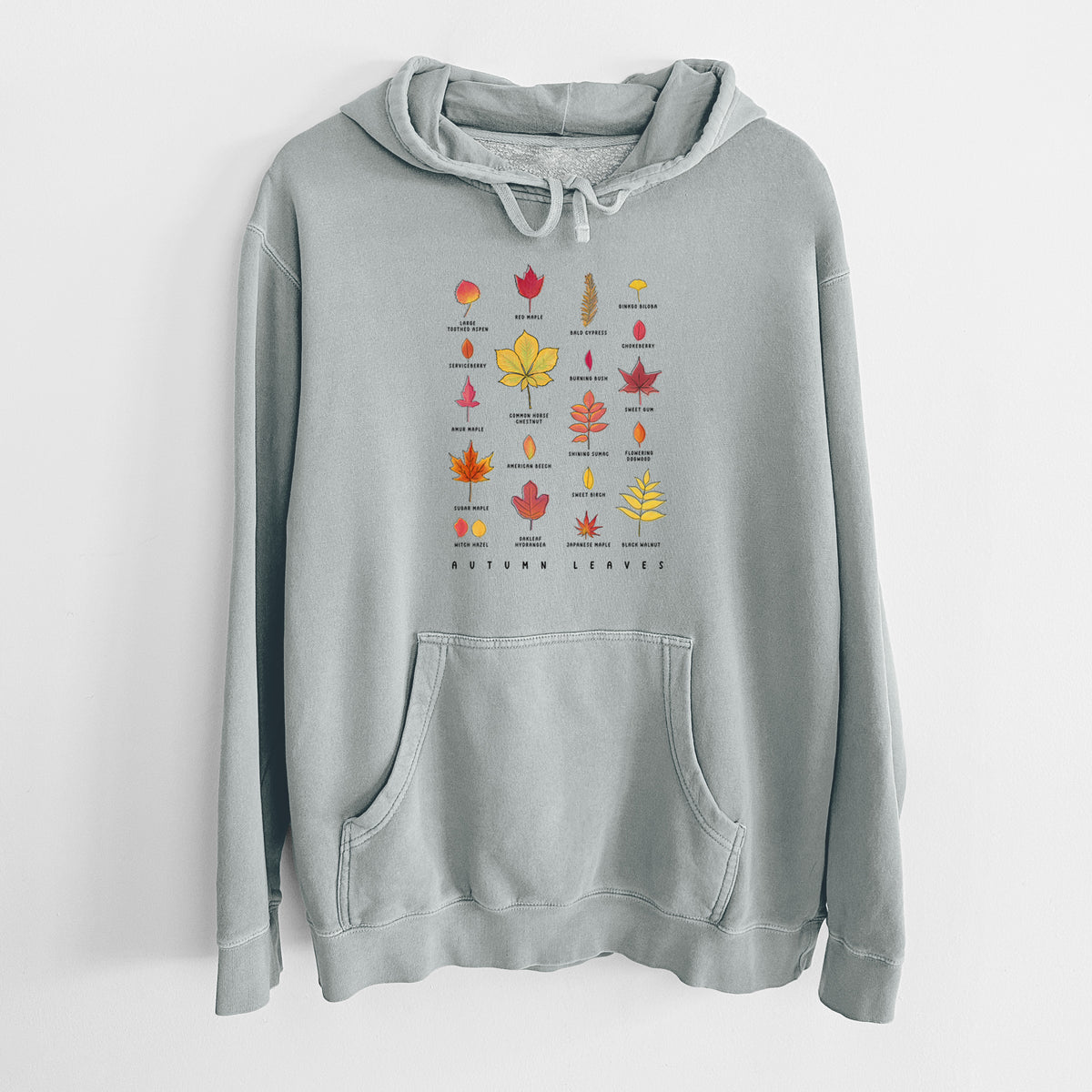 Sage green pigment dyed hoodie laid flat, printed with a full-color chart of autumn leaves, each labeled with its tree species.