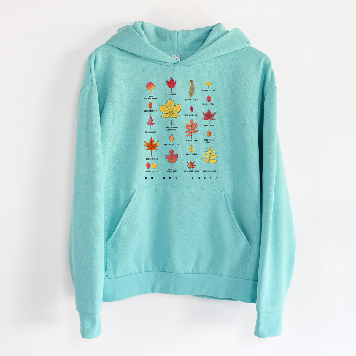 Vibrant Autumn Leaves Chart - Statement Midweight Hoodie in Seafoam, hanging on a white wall, with a front kangaroo pocket and no drawcords.
