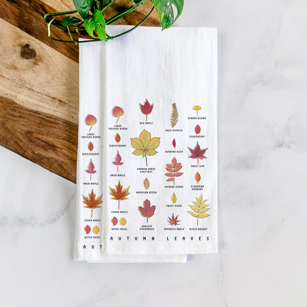 White cotton tea towel printed with a full-color chart of autumn leaves, each labeled with its tree species, on a marble counter with a wooden cutting board and greenery.
