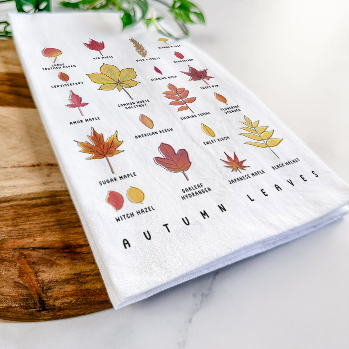 Close-up of a folded white tea towel on a wooden board, showing a full-color chart of autumn leaves, each labeled with its tree species.