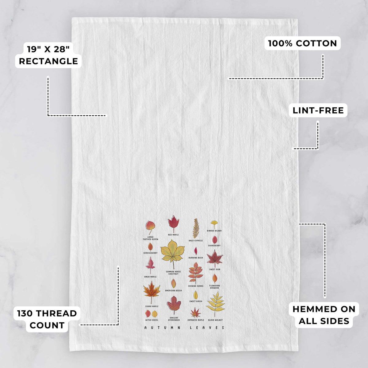 White tea towel printed with a full-color chart of autumn leaves, each labeled with its tree species, with feature labels: 19 by 28 inch rectangle, 100% cotton, lint-free, 130 thread count, hemmed on all sides.