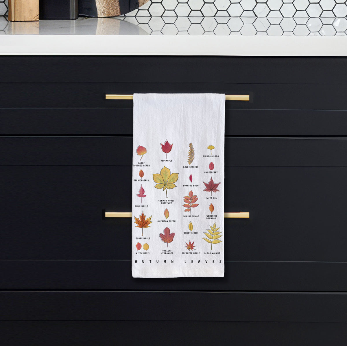 White tea towel printed with a full-color chart of autumn leaves, each labeled with its tree species, hanging from a bar on a black kitchen cabinet.