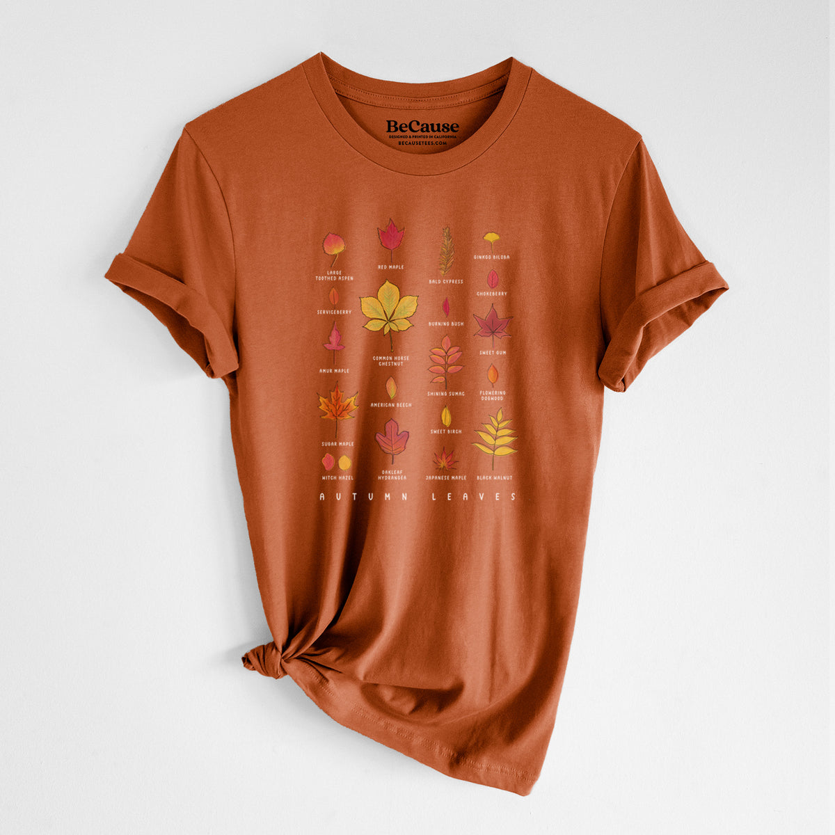 Autumn lightweight cotton t-shirt laid flat with the sleeves rolled, printed with a full-color chart of autumn leaves, each labeled with its tree species.
