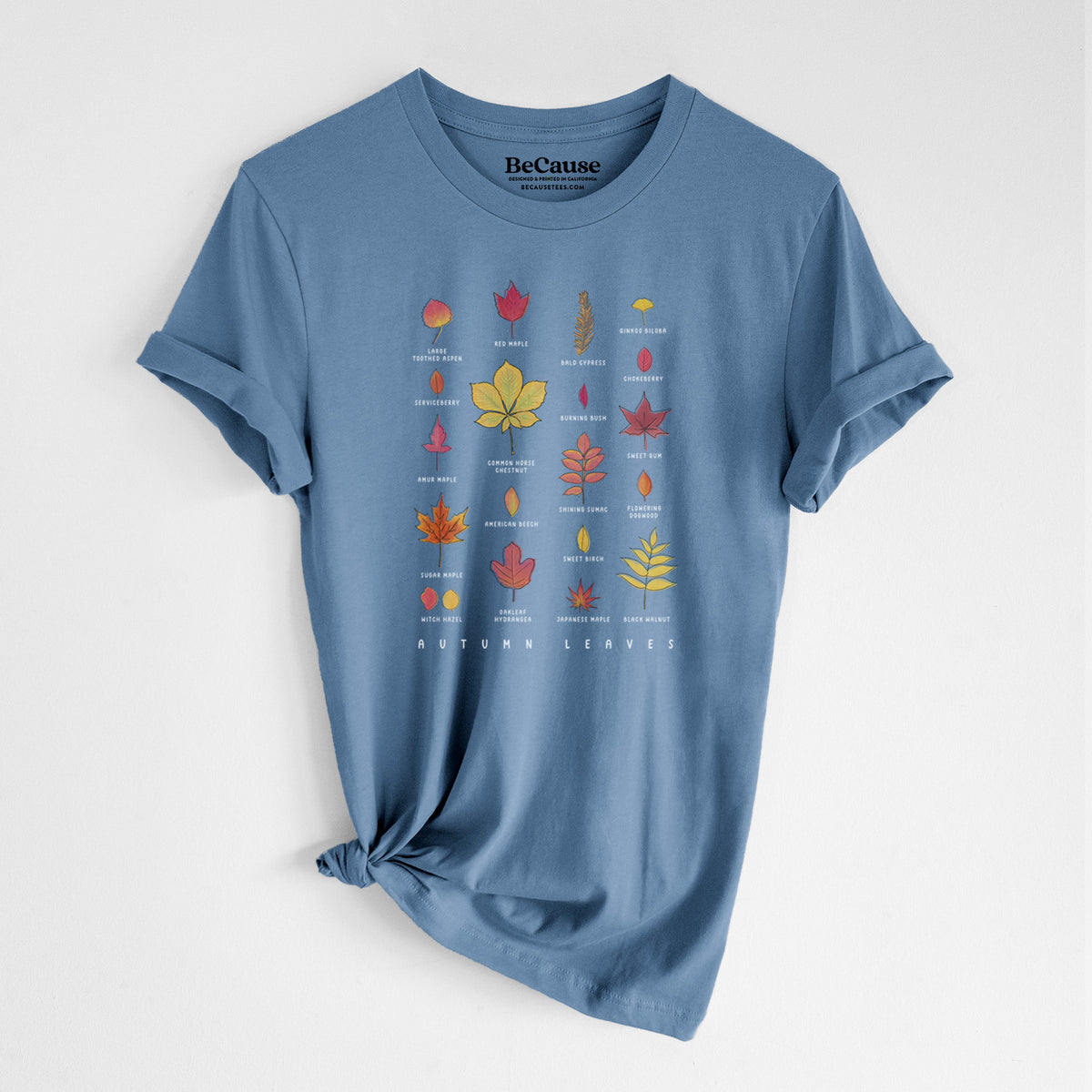 Steel blue lightweight cotton t-shirt laid flat with the sleeves rolled, printed with a full-color chart of autumn leaves, each labeled with its tree species.