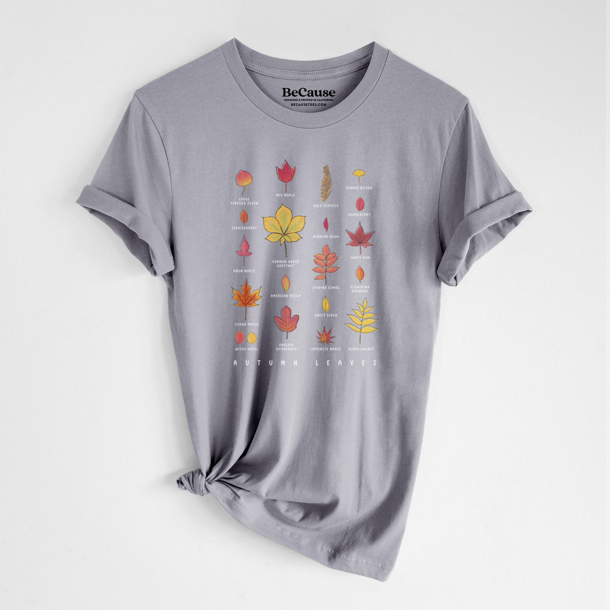 Storm grey lightweight cotton t-shirt laid flat with the sleeves rolled, printed with a full-color chart of autumn leaves, each labeled with its tree species.