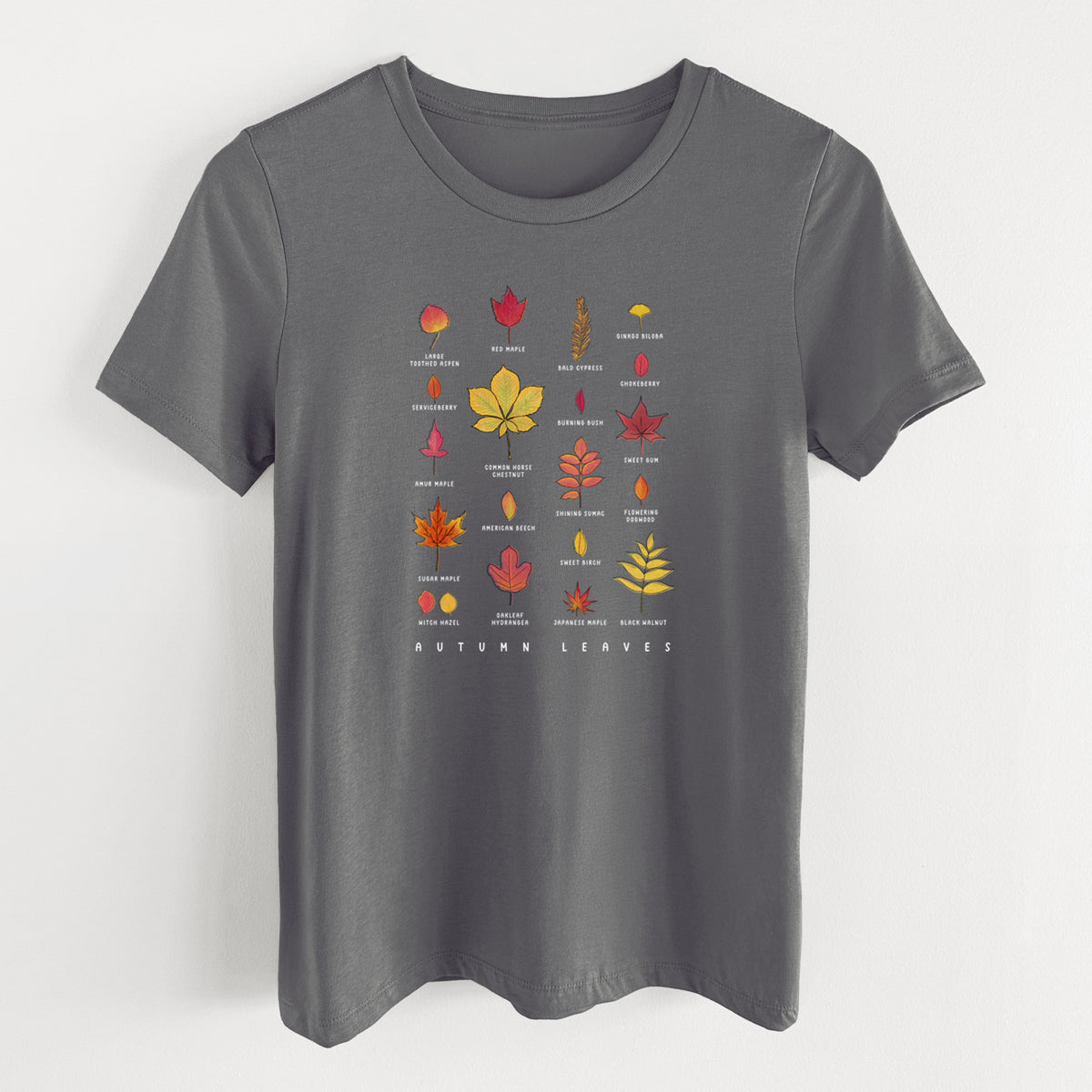 Asphalt women's relaxed fit cotton t-shirt laid flat, printed with a full-color chart of autumn leaves, each labeled with its tree species.
