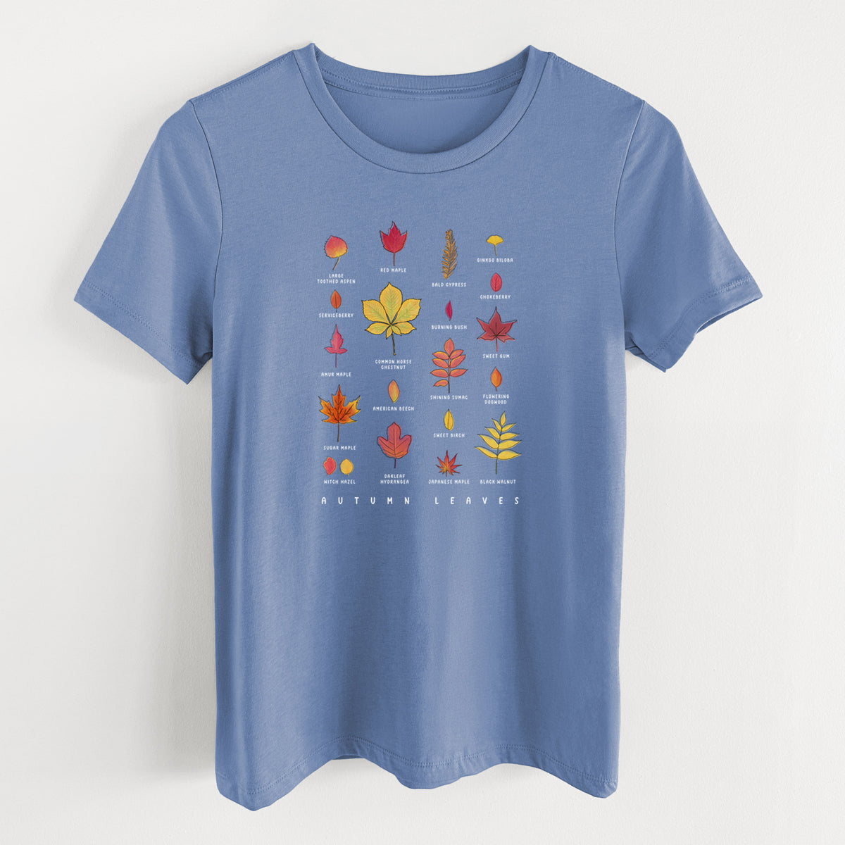 Blue bell women's relaxed fit cotton t-shirt laid flat, printed with a full-color chart of autumn leaves, each labeled with its tree species.