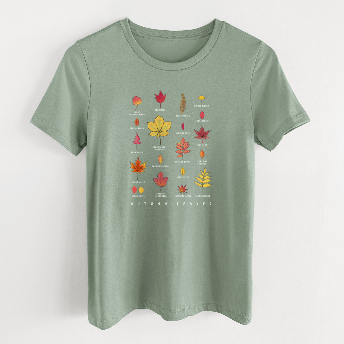 Sage green women's relaxed fit cotton t-shirt laid flat, printed with a full-color chart of autumn leaves, each labeled with its tree species.