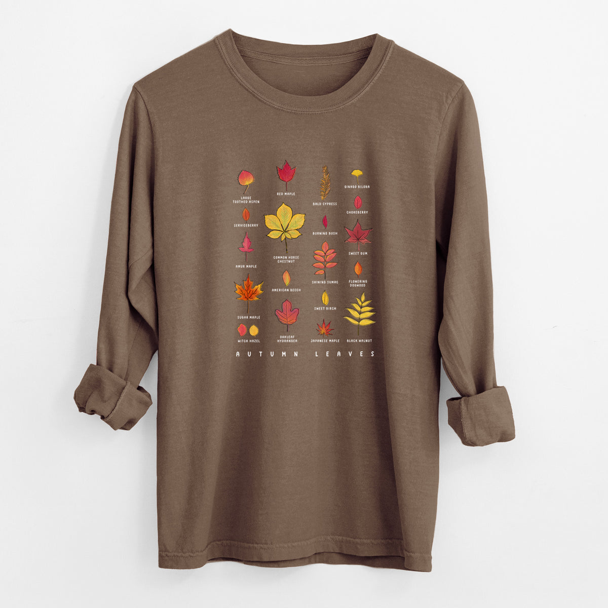 Espresso brown Comfort Colors long sleeve shirt laid flat with the cuffs rolled, printed with a full-color chart of autumn leaves, each labeled with its tree species.
