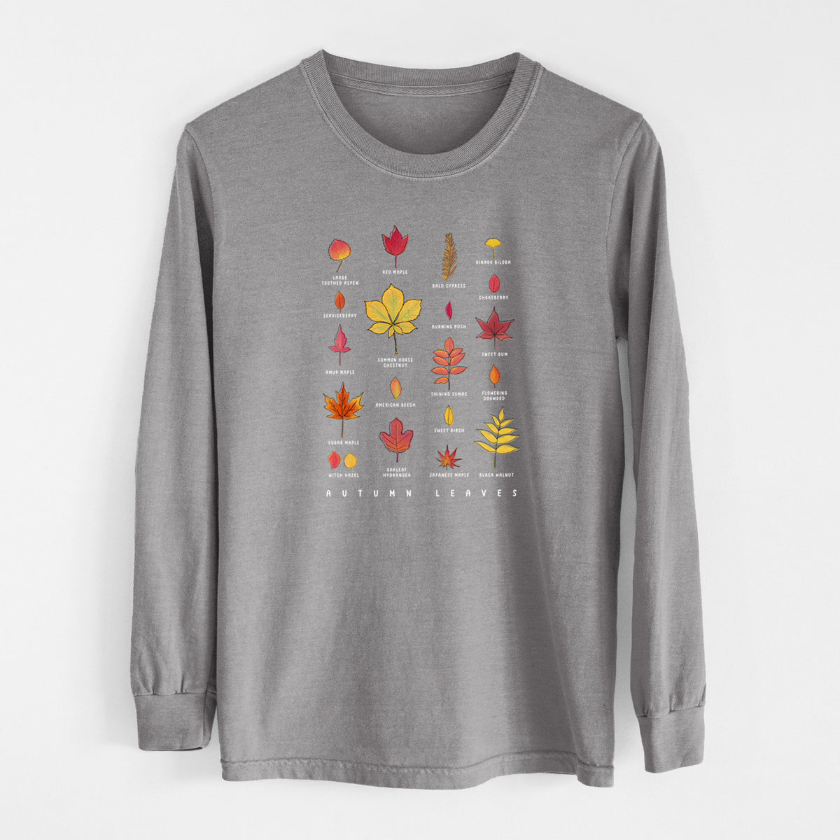 Grey Comfort Colors long sleeve shirt laid flat, printed with a full-color chart of autumn leaves, each labeled with its tree species.