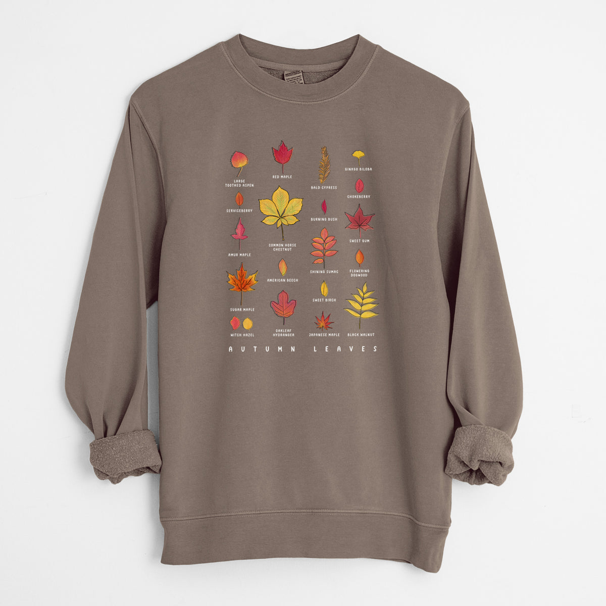 Vibrant Autumn Leaves Chart - Unisex Pigment Dyed Crew Sweatshirt in Espresso color