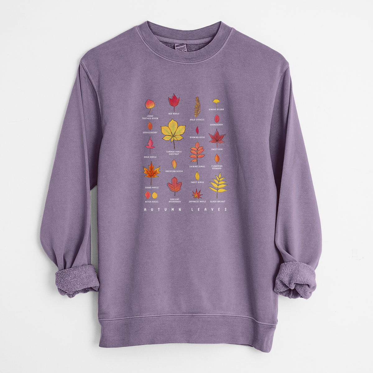 Vibrant Autumn Leaves Chart - Unisex Pigment Dyed Crew Sweatshirt in Plum